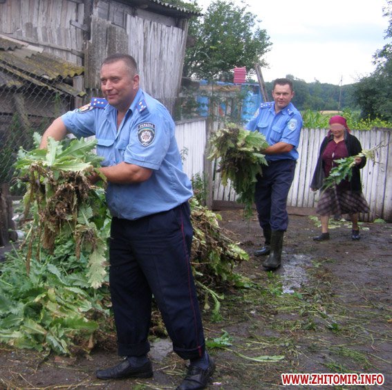 Вырастить декоративный мак на участке. Мак растет в огороде. Запрещенные растения для дачи. Мак растет в огороде. Нельзя выращивать.