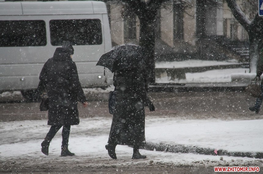 Перший сніг в Житомирі