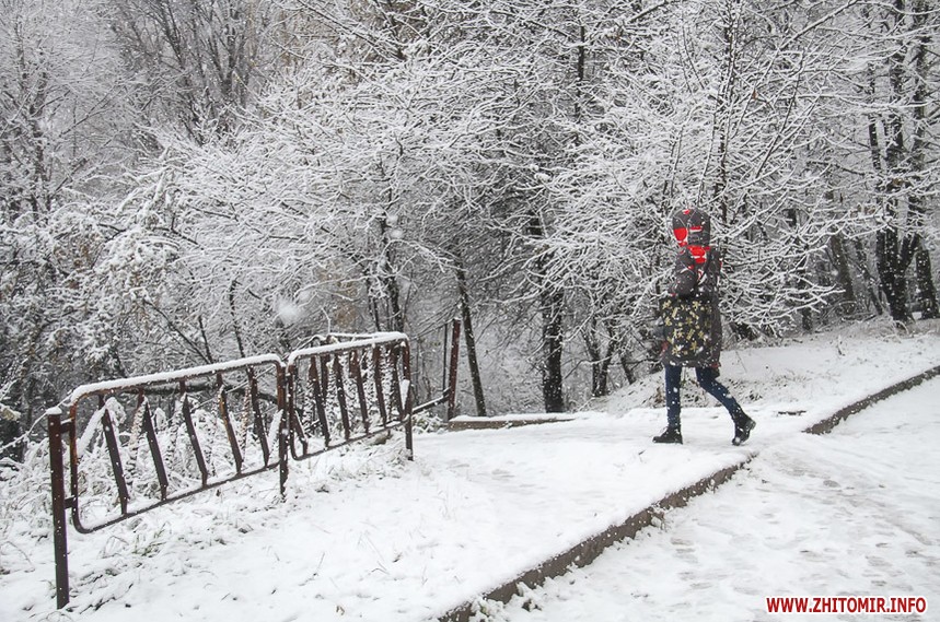 Перший сніг в Житомирі