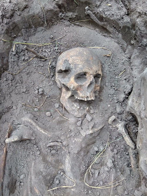 Поблизу Житомира відкопали скелети жінок і дітей