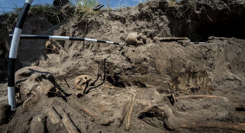 Поблизу Житомира відкопали скелети жінок і дітей