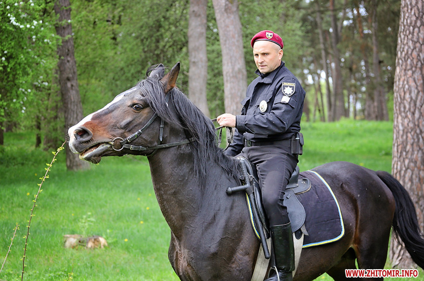 Поліцейськи на конях в Житомирі